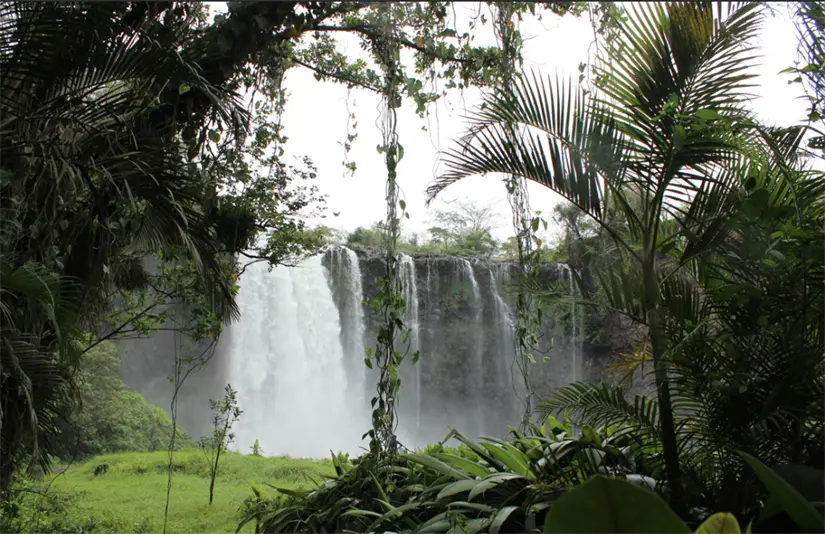Biosfera de Los Tuxtlas en Veracruz. Foto: cortesía.