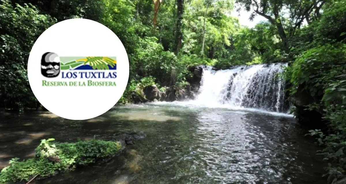 Aquí te contamos de algunas actividades que puedes hacer en la Biósfera Los Tuxtlas. Foto: cortesía