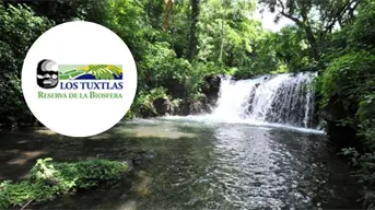 Catemaco y su Biósfera de Los Tuxtlas, un paraíso natural que debes descubrir
