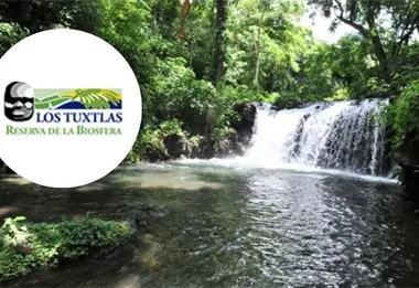 Catemaco y su Biósfera de Los Tuxtlas, un paraíso natural que debes descubrir