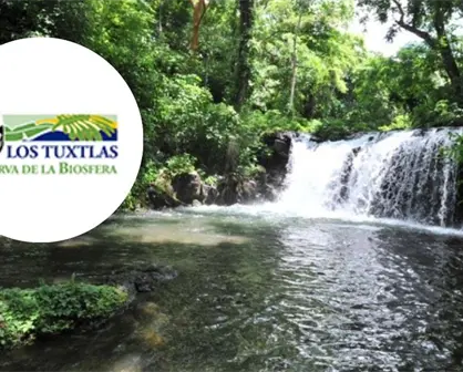Catemaco y su Biósfera de Los Tuxtlas, un paraíso natural que debes descubrir