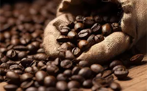 Café del Bienestar: un aroma de justicia social y orgullo mexicano