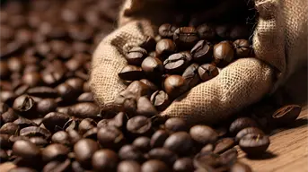 Café del Bienestar: un aroma de justicia social y orgullo mexicano