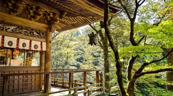 Viajar a Japón en 2025: La mejor forma de explorar cultura y naturaleza