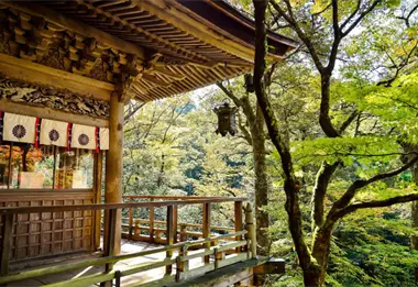 Viajar a Japón en 2025: La mejor forma de explorar cultura y naturaleza
