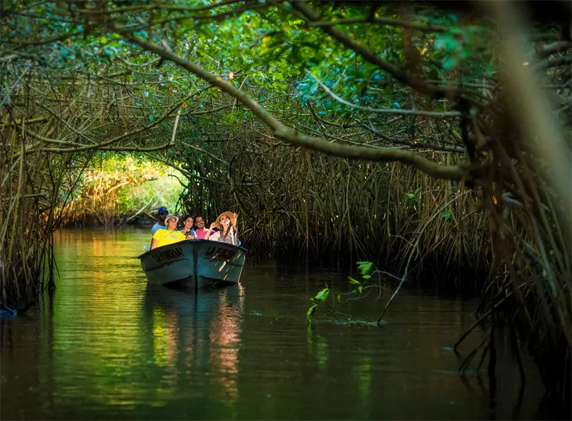 Parque nacional La Tovara en Nayarit. Foto: cortesía.