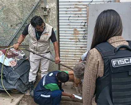 Perros, gallos y un pato: los animales rescatados de una finca en Tlajomulco
