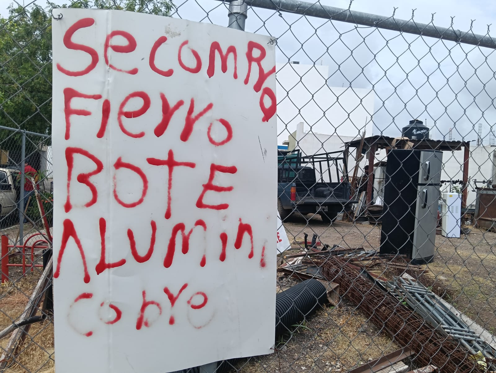 Imagen 7
