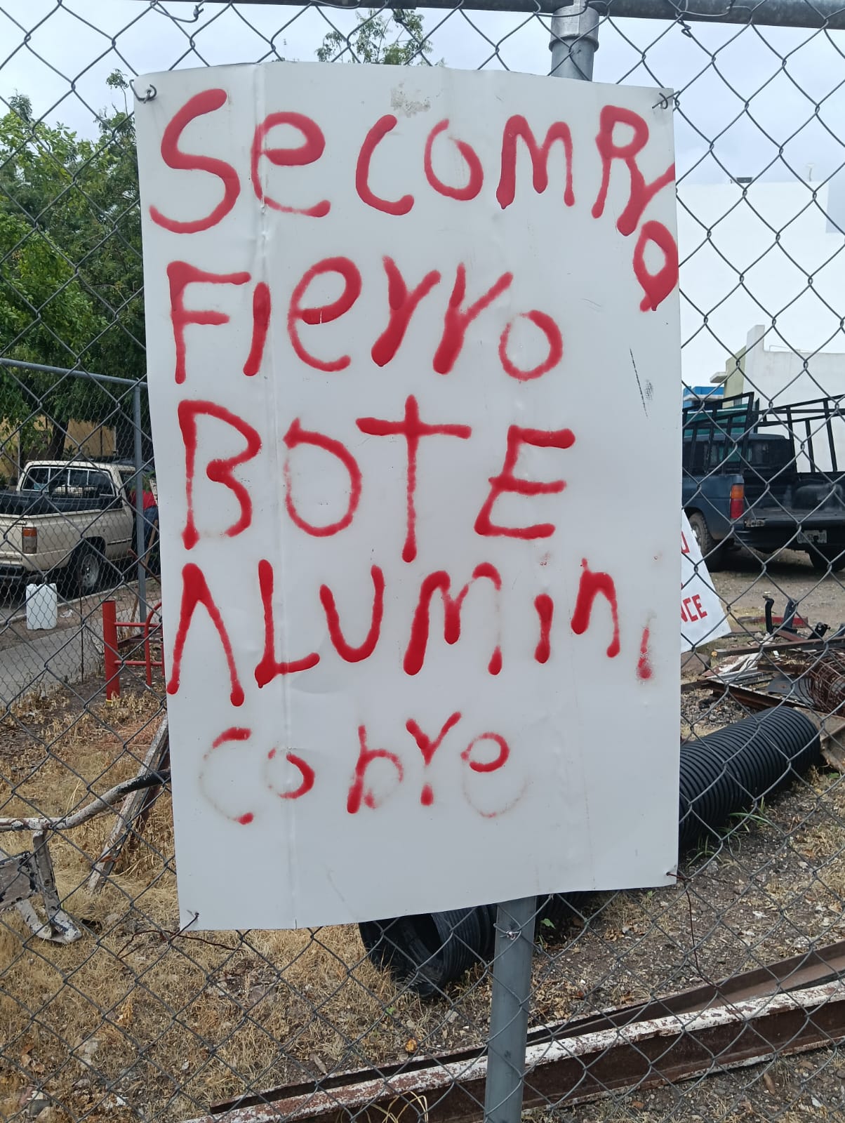 Imagen 2