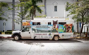 Ayuntamiento de Culiacán ofrece esterilización de mascotas de manera gratuita