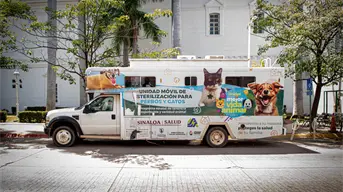 Ayuntamiento de Culiacán ofrece esterilización de mascotas de manera gratuita