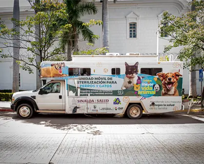 Ayuntamiento de Culiacán ofrece esterilización de mascotas de manera gratuita