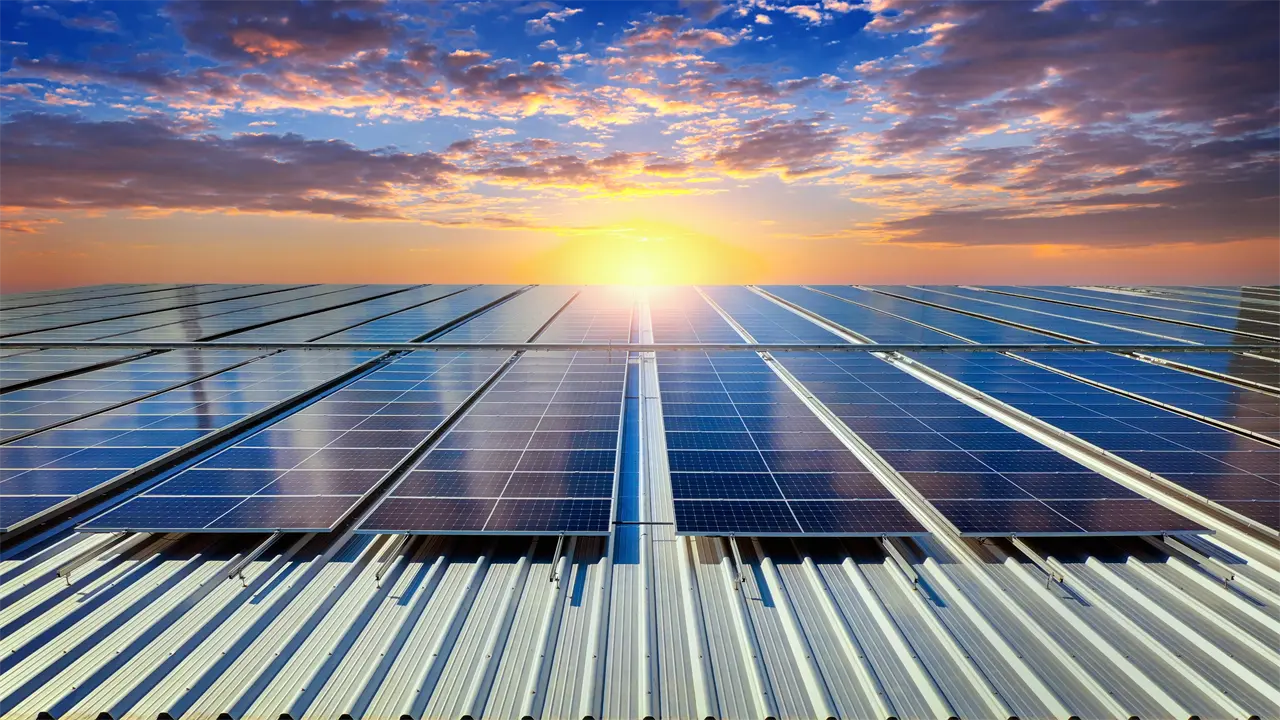 México acelera su transición solar y abre camino hacia un futuro sostenible. Foto: Cortesía