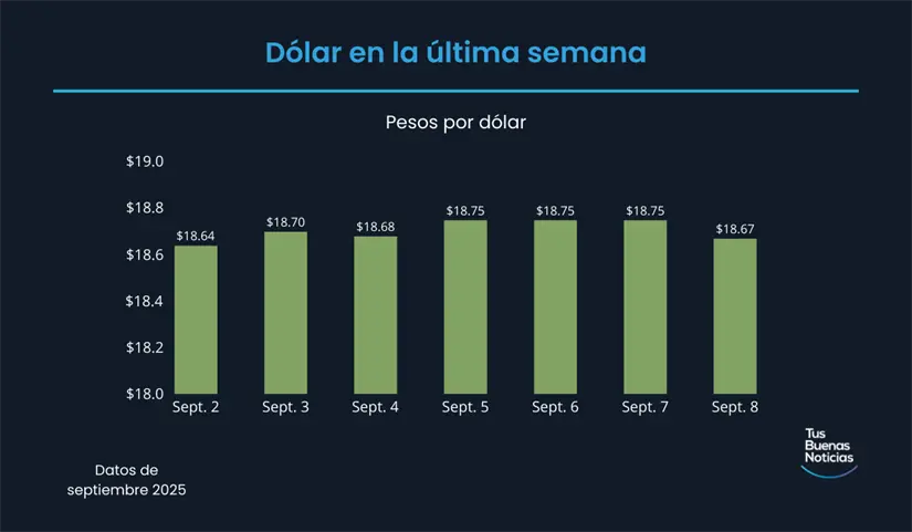 Precio del dólar en la última semana de acuerdo al DOF. Foto: TBN