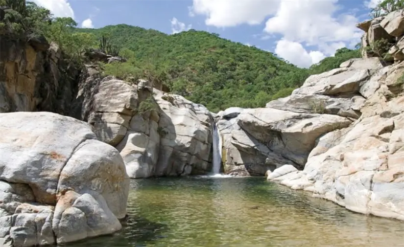 Sierra de La Laguna en Todos Santos. Foto: cortesía.