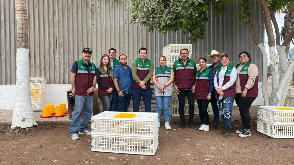 El programa aves de traspatio ha beneficiado a 356 familias. Foto: Cortesía.