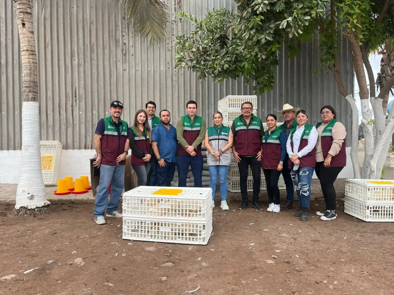 El programa aves de traspatio ha beneficiado a 356 familias. Foto: Cortesía.