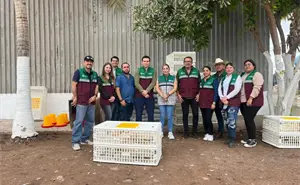 En Culiacán puedes acceder a arbolado, aves de traspatio y abrevaderos, aquí te decimos cómo
