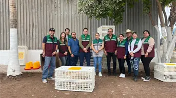 En Culiacán puedes acceder ha arbolado, aves de traspatio y abrevaderos, aquí te decimos cómo