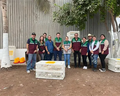 En Culiacán puedes acceder a arbolado, aves de traspatio y abrevaderos, aquí te decimos cómo
