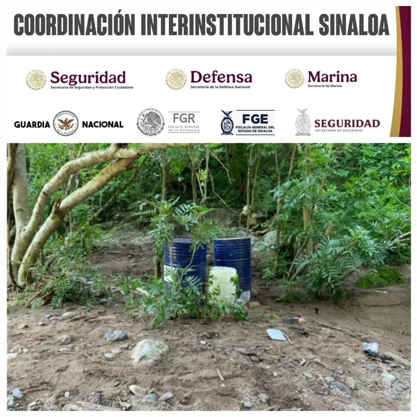Ejército y fuerzas federales localizan y destruyen químicos para droga en Cosalá imagen recuadro