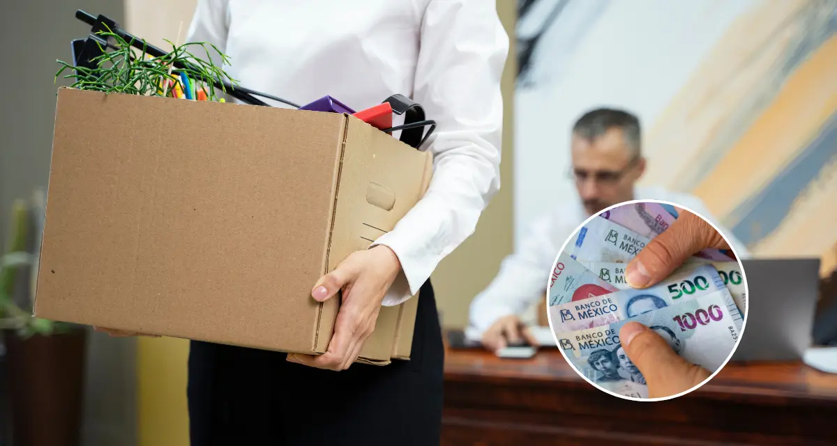 El registro para el programa de Seguro de Desempleo en CDMX ya se encuentra abierto. Foto: Freepik.