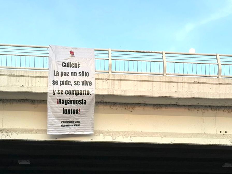 Imagen 7