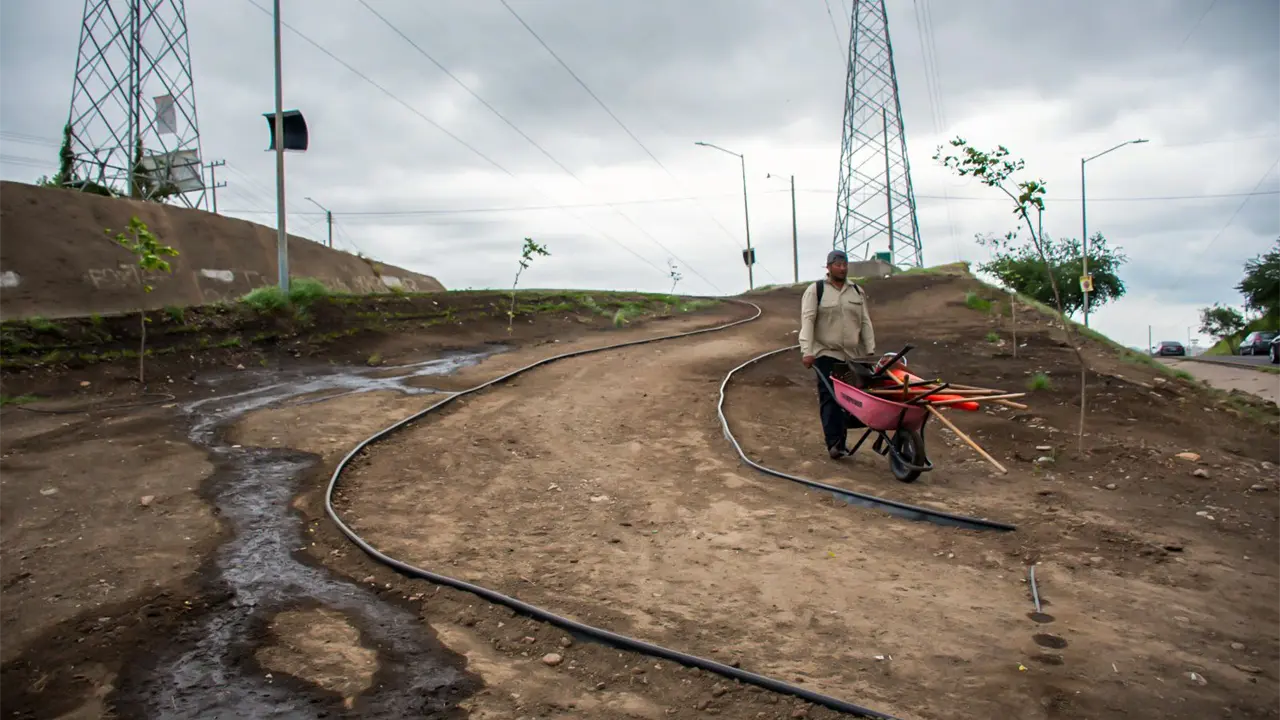 Rehabilitación de camellón en Culiacán. Foto: Cortesía.