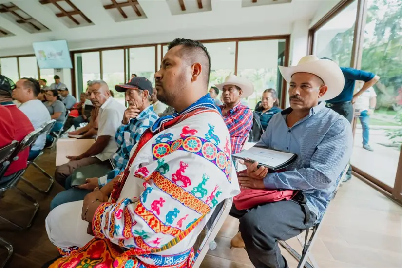 Con 25 créditos y 33 apoyos al volante, el gobierno de Nayarit fortalece la economía familiar y comunitaria.