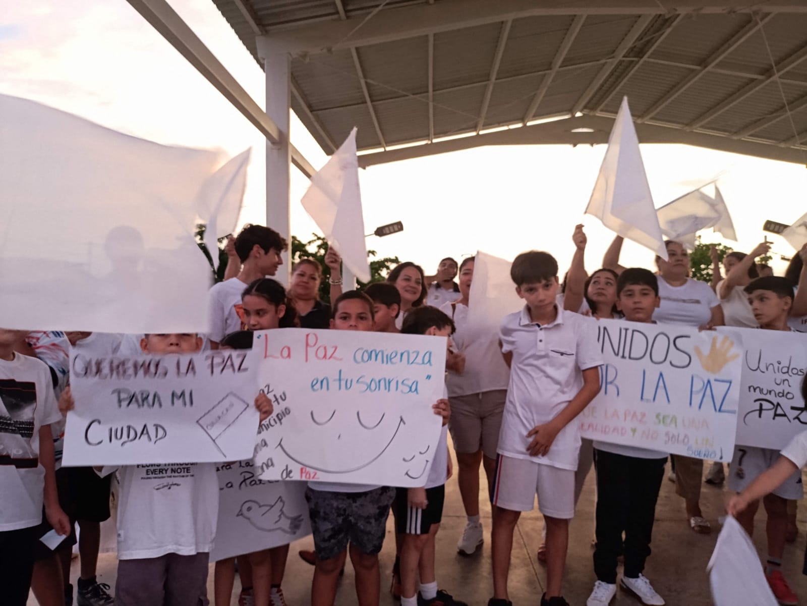 Imagen 6