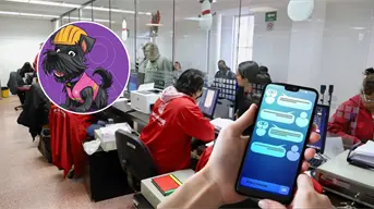 Chatbot Güicho en San Luis Potosí: ahora podrás pagar el predial y más trámites por WhatsApp