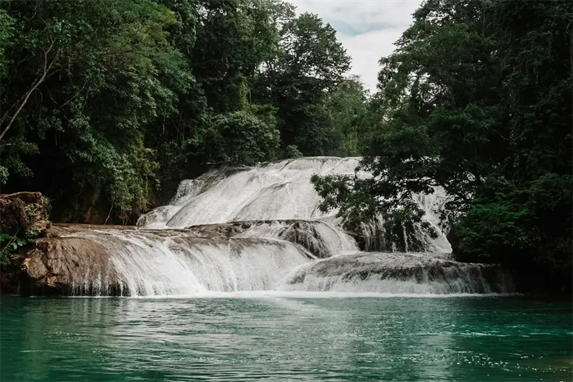 Conoce cuál es la mejor temporada para visitar Chiapas. Foto: Unsplash. Conoce cuál es la mejor temporada para visitar Chiapas. Foto: Unsplash.