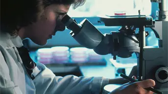 Este revolucionario test de sangre puede detectar cáncer de cabeza y cuello hasta una década antes