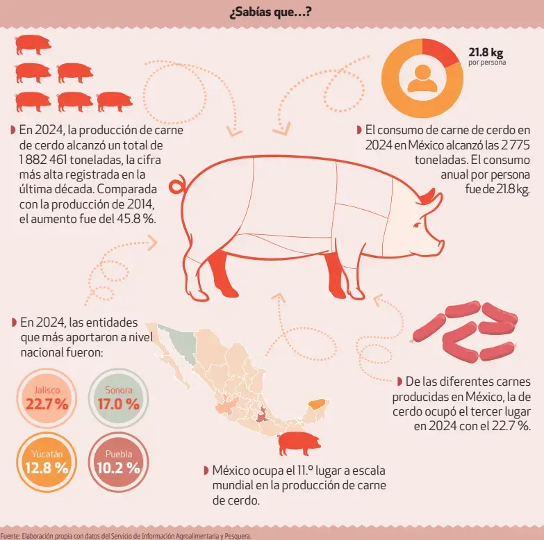 Conoce más sobre la carne de cerdo. Foto: Profeco
