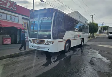 Con 156 camiones de 52 rutas, Gobierno de Sinaloa asegura traslado gratuito a ceremonia del grito