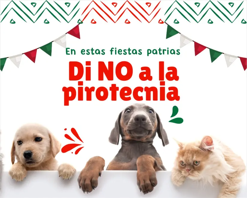 Protege a tus hijos, las mascotas y el medio ambiente evitando usar pirotecnia caliente en las fiestas patrias. Foto: cortesía.