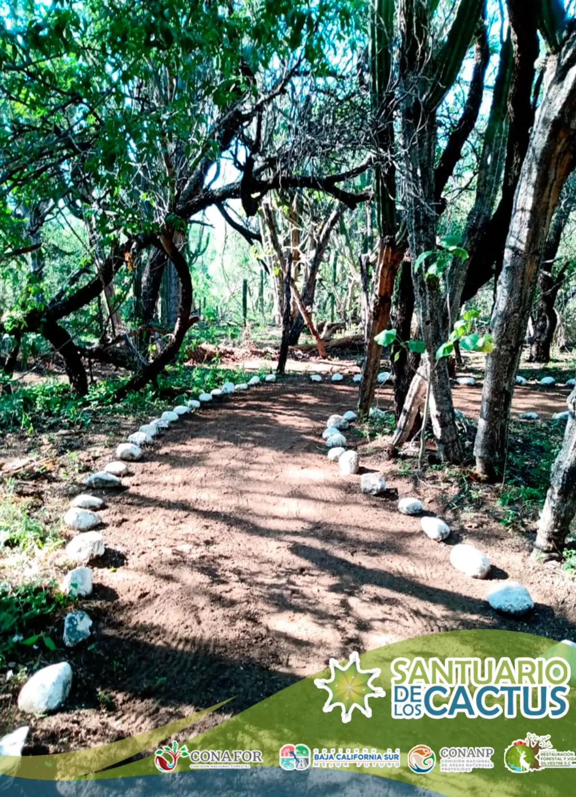 Disfruta de recorridos rodeados de cactus con hasta 500 años. Foto: cortesía.
