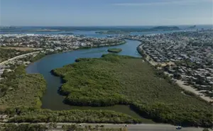 El estero de Urías en Mazatlán, fuente de vida y empleo para la comunidad