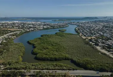 El estero de Urías en Mazatlán, fuente de vida y empleo para la comunidad