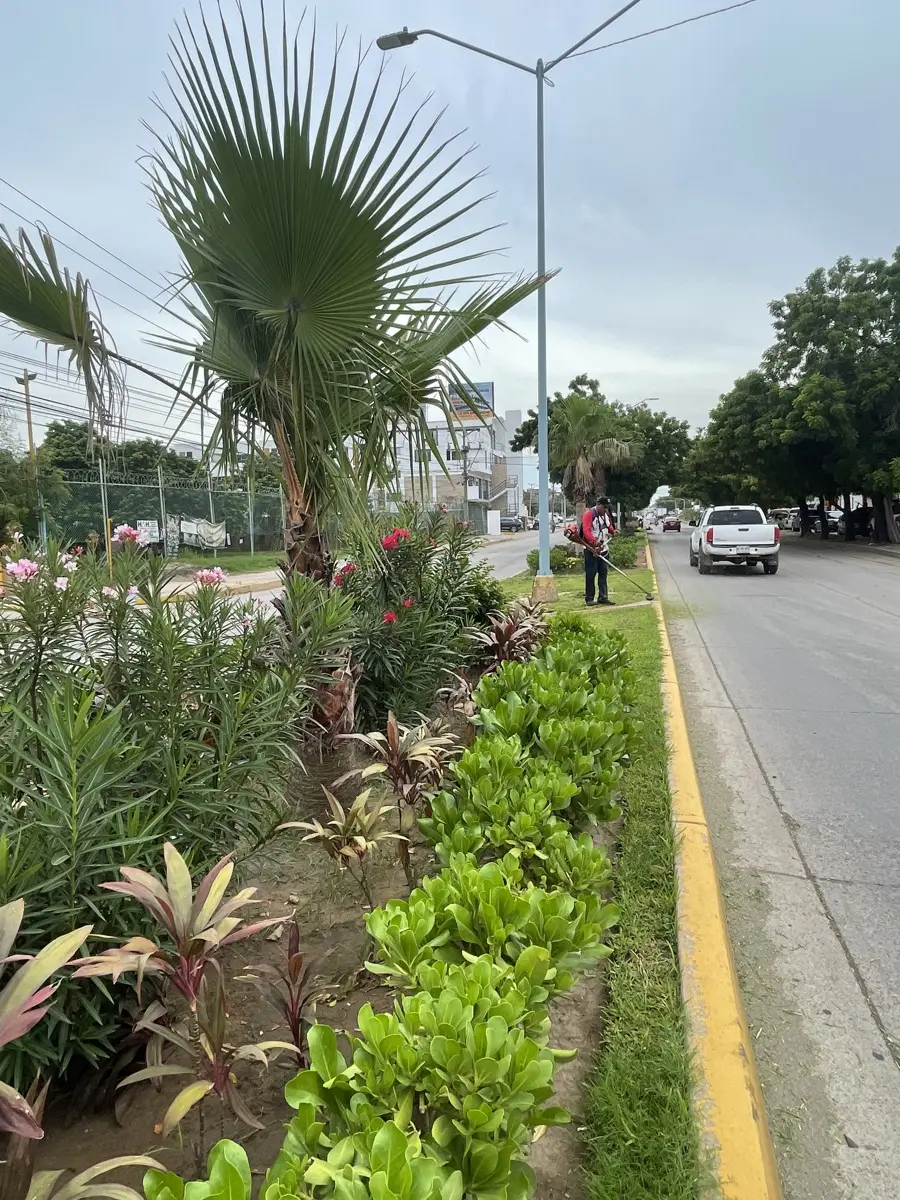 imagen recuadro