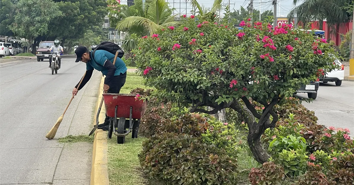 Un “Camino de colores” embellece la Avenida Clouthier en el sector Flores Magón de Mazatlán