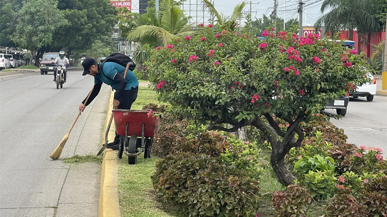 El programa Camino de colores llegó para embellecer el camellón de la avenida Clouthier en el sector Flores Magón