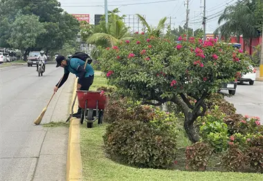 Un "Camino de colores" embellece la Avenida Clouthier en el sector Flores Magón de Mazatlán