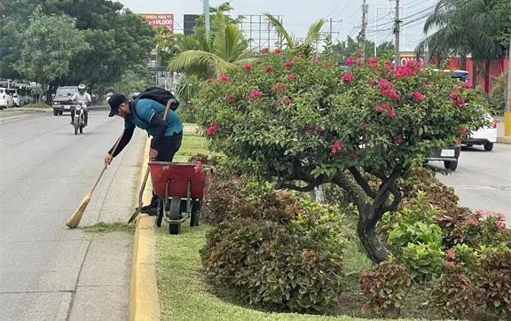 Un "Camino de colores" embellece la Avenida Clouthier en el sector Flores Magón de Mazatlán