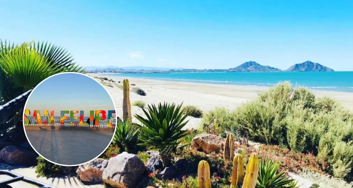 Aquí te decimos los que puedes hacer en el pueblo San Felipe, Baja California. Foto: cortesía