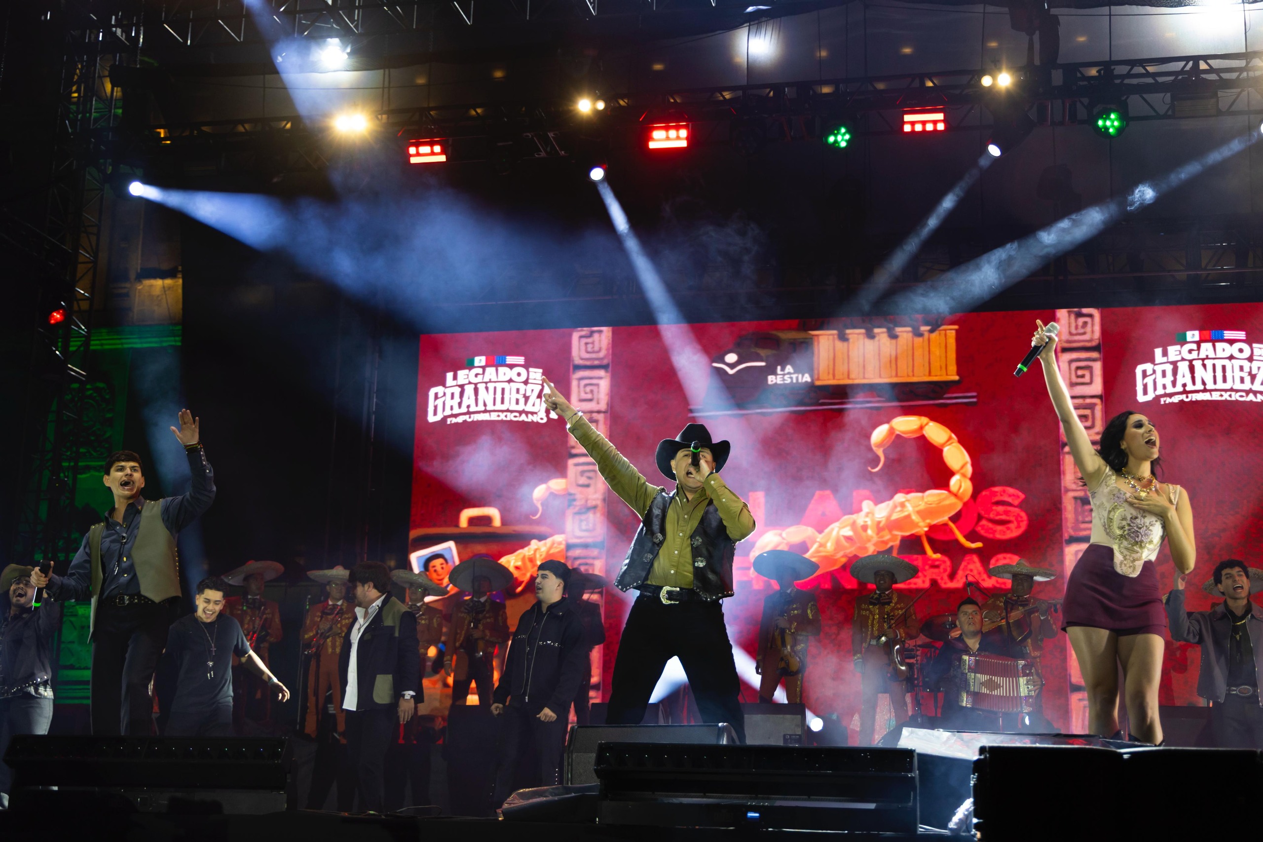 Imagen 12