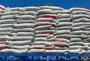Anuncian reinicio de pagos de 750 pesos a maiceros en Sinaloa
