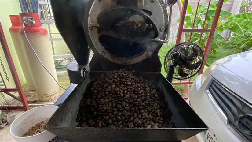 Proceso de café.