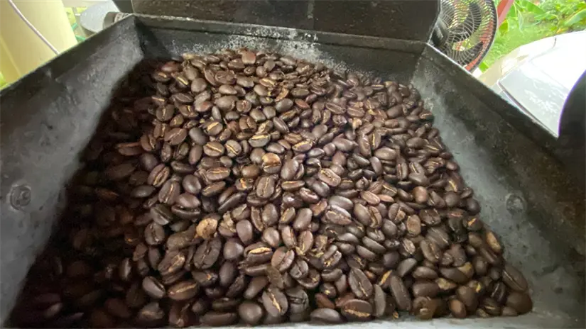 Café en grano