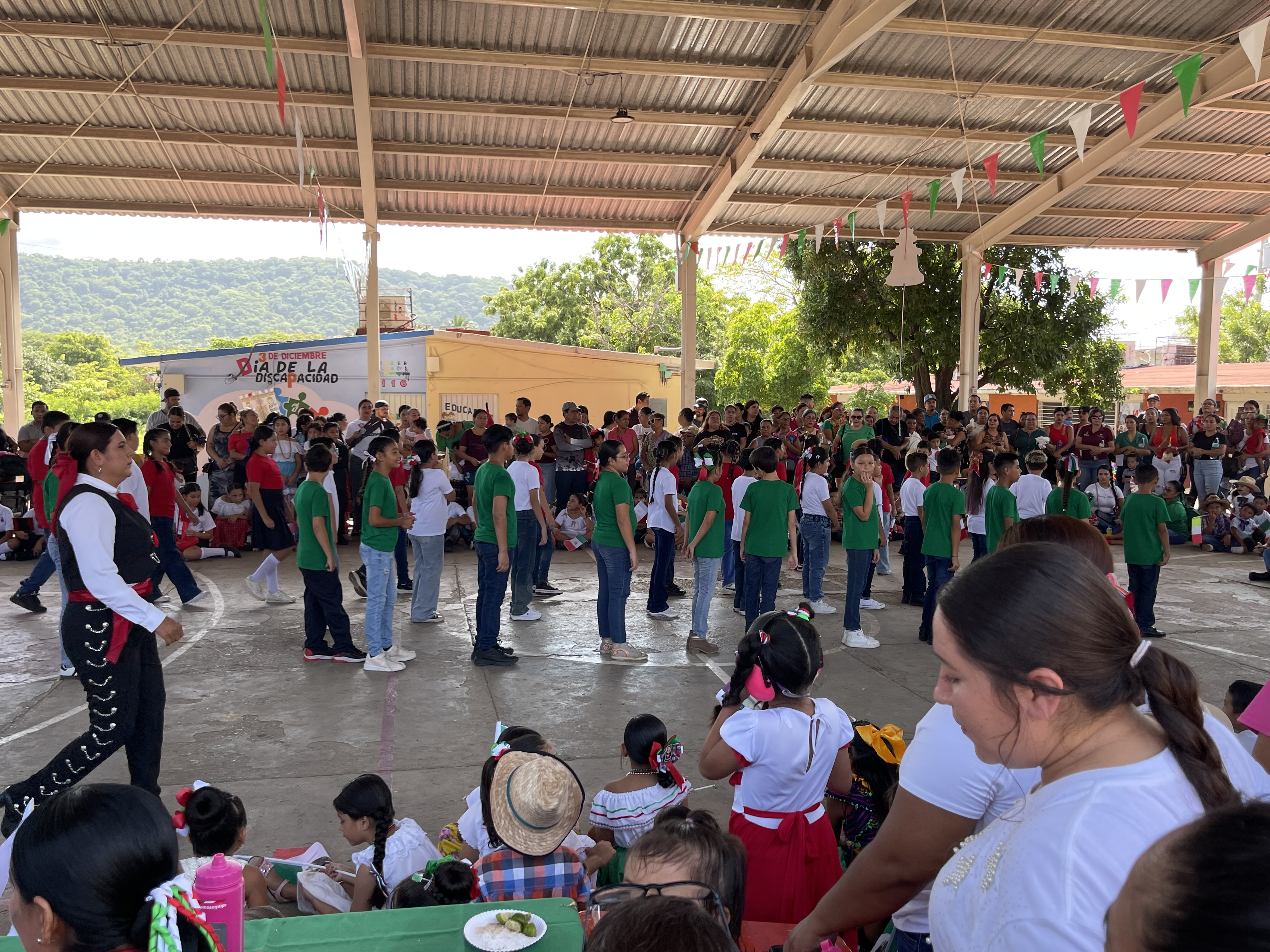 Imagen 5